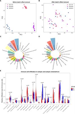Bioinformatics identification and validation of biomarkers and infiltrating immune cells in endometriosis